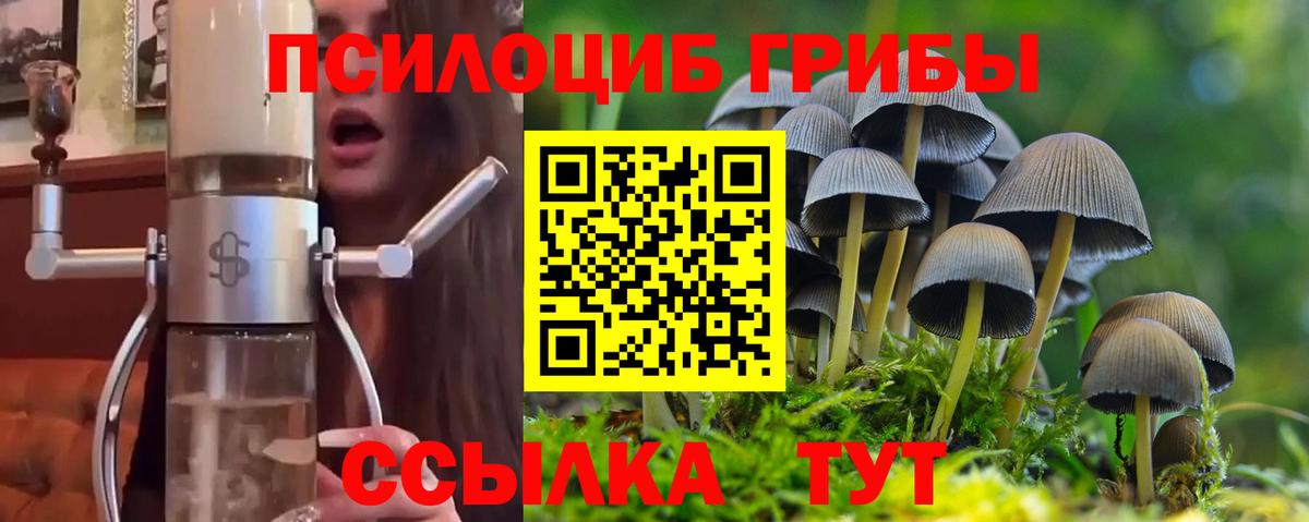 Галлюциногенные грибы Magic Shrooms  Псилоцибиновые грибы MAGIC MUSHROOMS  Вход с VPN  Холмск 